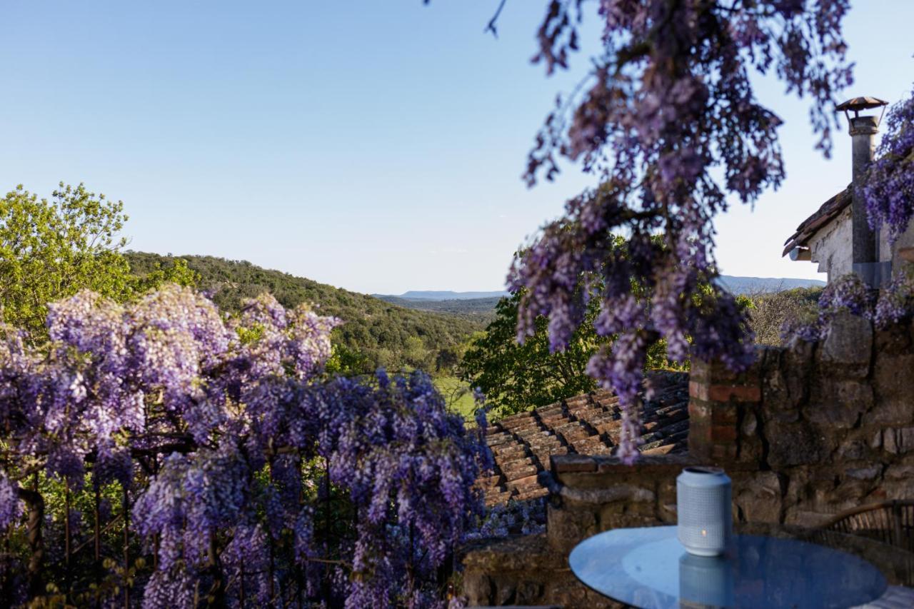 La Vieille Maison - Halte Gourmande Durfort-et-Saint-Martin-de-Sossenac Екстериор снимка