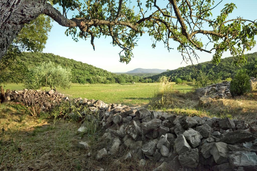 La Vieille Maison - Halte Gourmande Durfort-et-Saint-Martin-de-Sossenac Екстериор снимка
